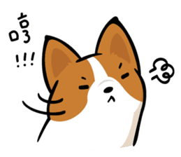 Corgi Dog KaKa - Daily Life sticker #8177407
