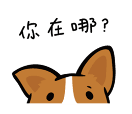 Corgi Dog KaKa - Daily Life sticker #8177409