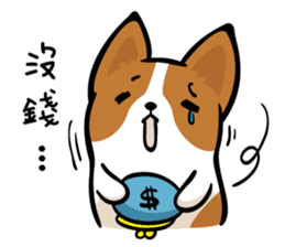Corgi Dog KaKa - Daily Life sticker #8177413