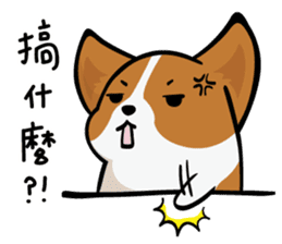 Corgi Dog KaKa - Daily Life sticker #8177414
