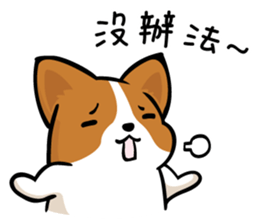 Corgi Dog KaKa - Daily Life sticker #8177415