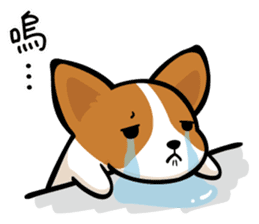 Corgi Dog KaKa - Daily Life sticker #8177416
