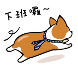 Corgi Dog KaKa - Daily Life sticker #8177417
