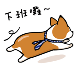 Corgi Dog KaKa - Daily Life sticker #8177417
