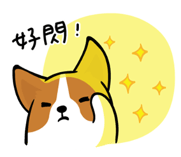 Corgi Dog KaKa - Daily Life sticker #8177419