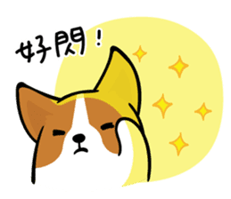 Corgi Dog KaKa - Daily Life sticker #8177419