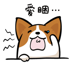 Corgi Dog KaKa - Daily Life sticker #8177422