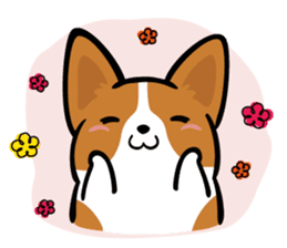 Corgi Dog KaKa - Daily Life sticker #8177423