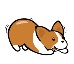 Corgi Dog KaKa - Daily Life sticker #8177425