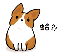 Corgi Dog KaKa - Daily Life sticker #8177426