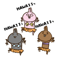 Wanna go Hawaii!rabbits