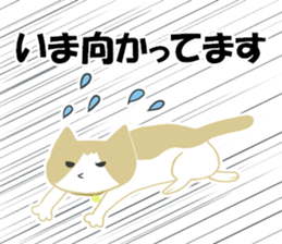 A cute cat with a toy mouse. sticker #8177503