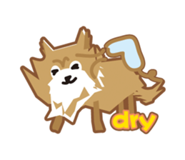Pomeranian of Tyrol sticker #8181800