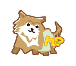 Pomeranian of Tyrol sticker #8181806