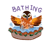 All about birds sticker #8182835