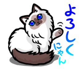 Free and carefree cat sticker #8184869