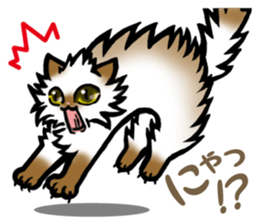 Free and carefree cat sticker #8184888