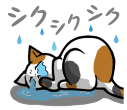 Free and carefree cat sticker #8184894