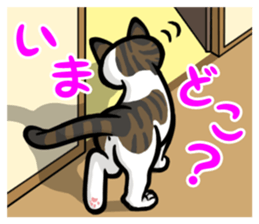 Free and carefree cat sticker #8184899