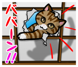 Free and carefree cat sticker #8184903