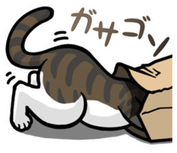 Free and carefree cat sticker #8184905