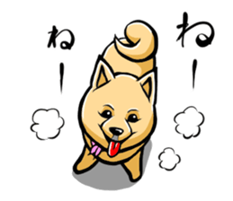 Pomeranian of Mame-shiba type hair style sticker #8186470