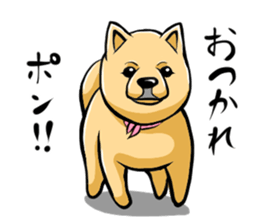 Pomeranian of Mame-shiba type hair style sticker #8186471
