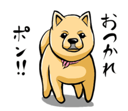 Pomeranian of Mame-shiba type hair style sticker #8186471