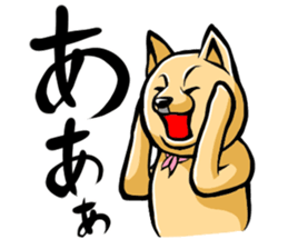 Pomeranian of Mame-shiba type hair style sticker #8186472