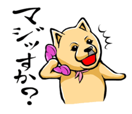 Pomeranian of Mame-shiba type hair style sticker #8186473