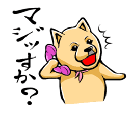 Pomeranian of Mame-shiba type hair style sticker #8186473
