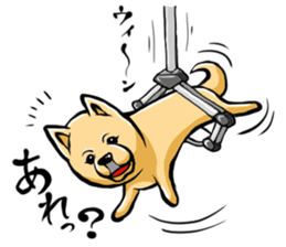 Pomeranian of Mame-shiba type hair style sticker #8186475