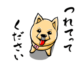 Pomeranian of Mame-shiba type hair style sticker #8186476