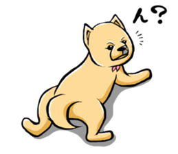 Pomeranian of Mame-shiba type hair style sticker #8186479