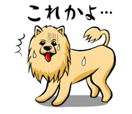 Pomeranian of Mame-shiba type hair style sticker #8186480