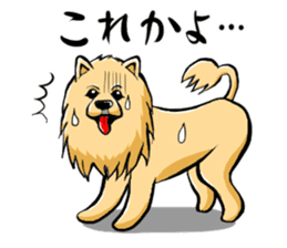 Pomeranian of Mame-shiba type hair style sticker #8186480