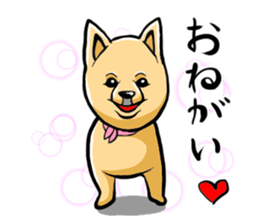 Pomeranian of Mame-shiba type hair style sticker #8186482