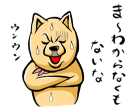 Pomeranian of Mame-shiba type hair style sticker #8186485