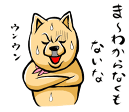 Pomeranian of Mame-shiba type hair style sticker #8186485