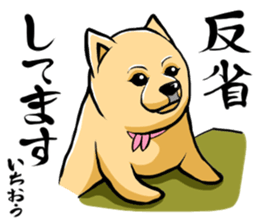 Pomeranian of Mame-shiba type hair style sticker #8186487