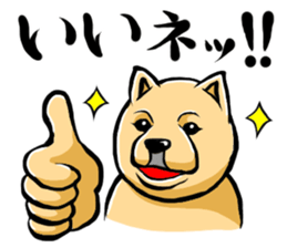 Pomeranian of Mame-shiba type hair style sticker #8186489