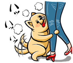 Pomeranian of Mame-shiba type hair style sticker #8186490