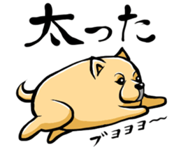 Pomeranian of Mame-shiba type hair style sticker #8186492