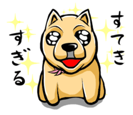 Pomeranian of Mame-shiba type hair style sticker #8186495