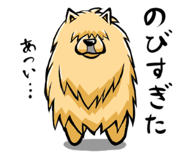 Pomeranian of Mame-shiba type hair style sticker #8186498