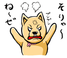 Pomeranian of Mame-shiba type hair style sticker #8186501