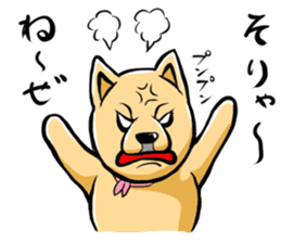 Pomeranian of Mame-shiba type hair style sticker #8186501