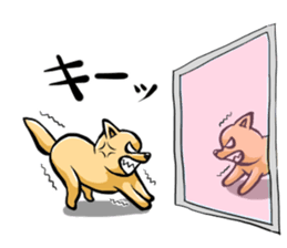 Pomeranian of Mame-shiba type hair style sticker #8186502