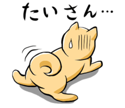 Pomeranian of Mame-shiba type hair style sticker #8186503