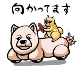 Pomeranian of Mame-shiba type hair style sticker #8186504